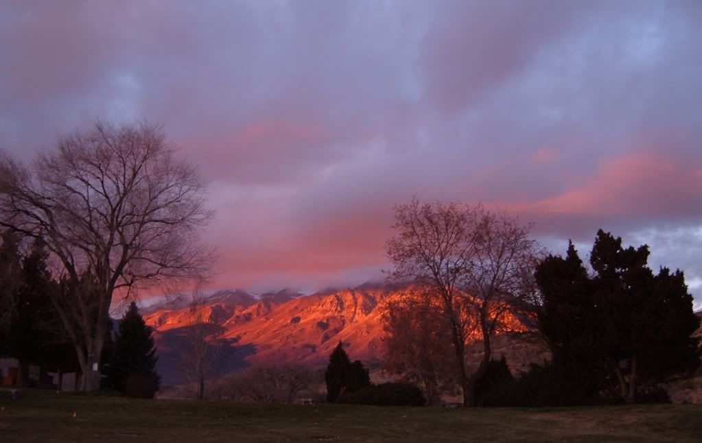 DSCF1358.jpg