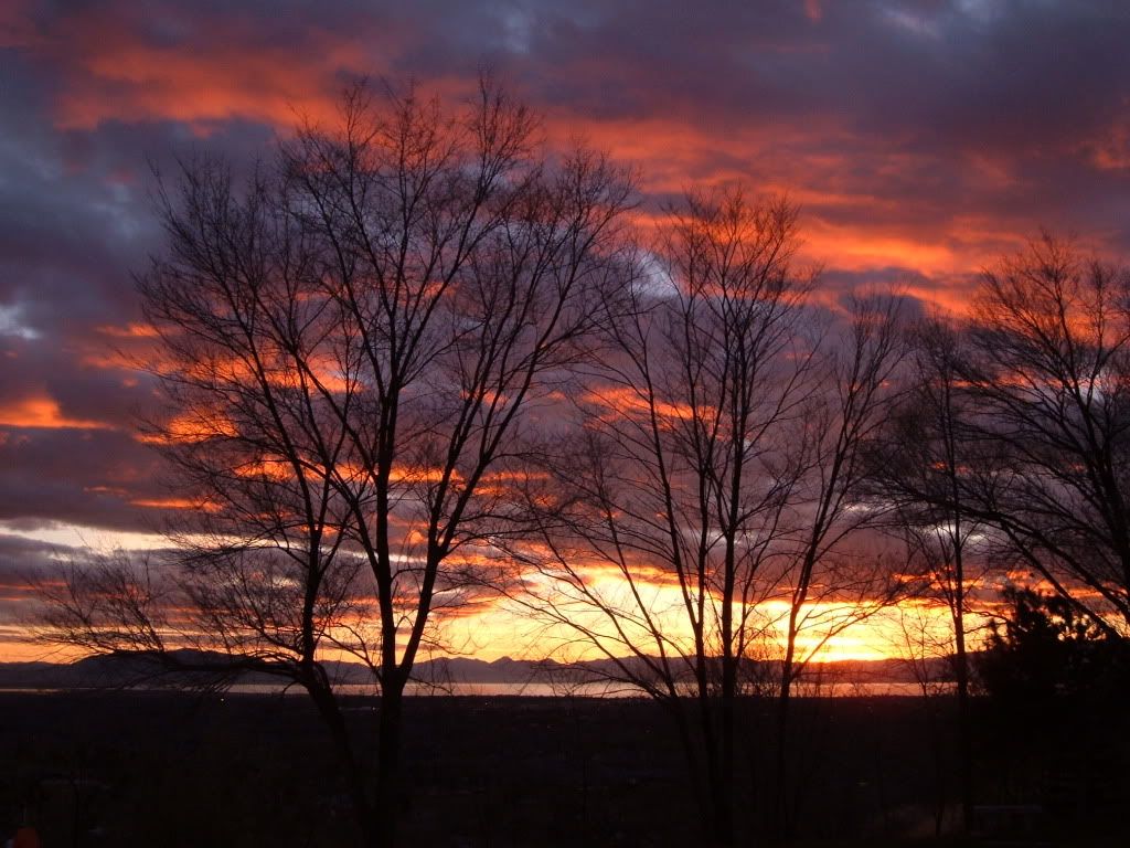 DSCF1361.jpg