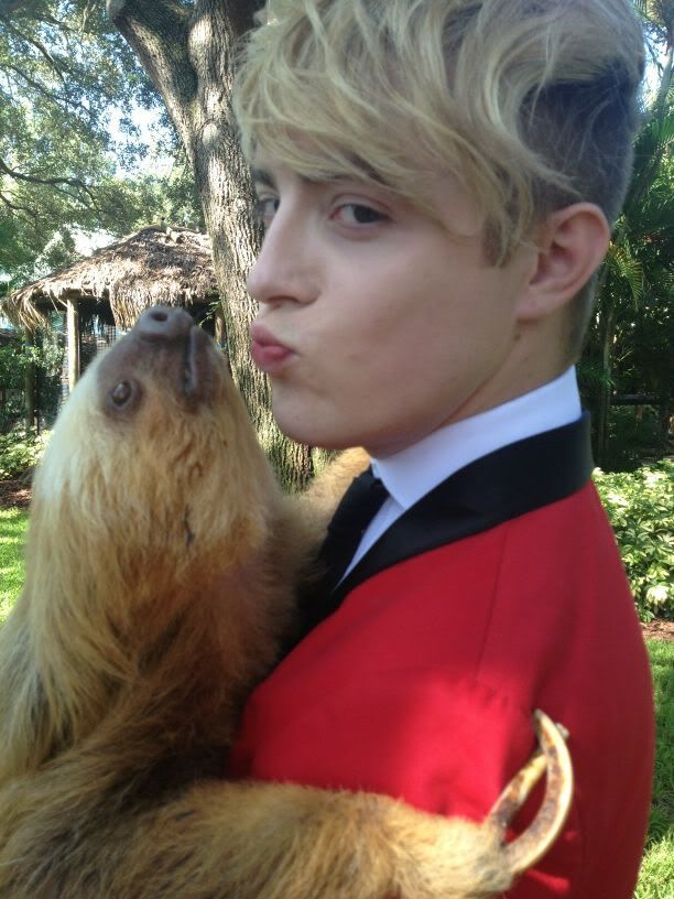 sloth.jpg