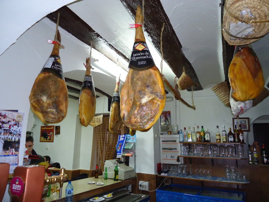 DSC00051.jpg