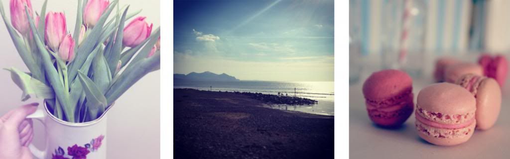 photo FionaBlog1_zpsc110fe56.jpg