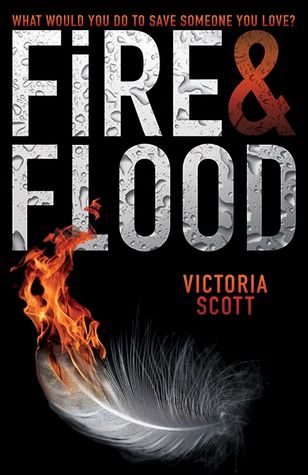 https://www.goodreads.com/book/show/16069167-fire-flood