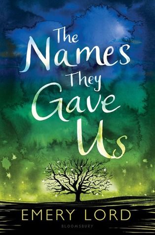 https://www.goodreads.com/book/show/30038906-the-names-they-gave-us