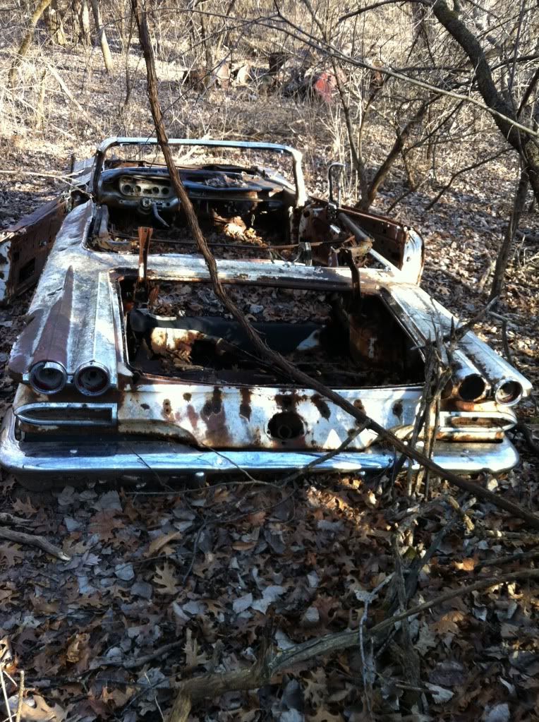 Stumbled across some long abandoned cars in a local forest preserve