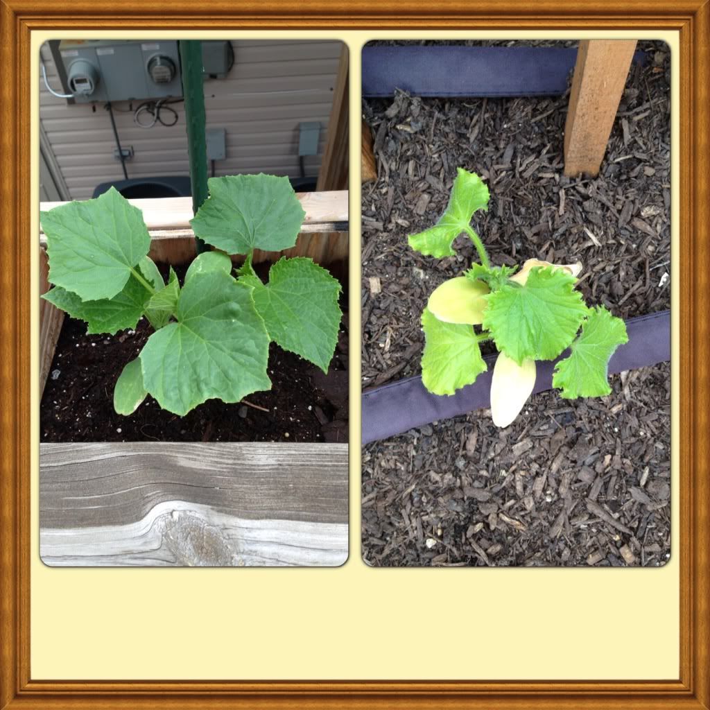 Photobucket Pictures, Images and Photos