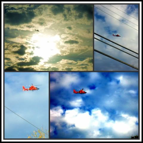 Picnikcollage-1.jpg picture by emma5488