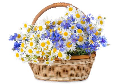 basketofflowers.jpg