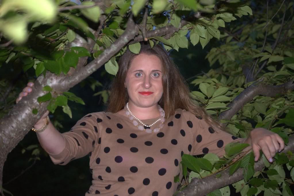 in a tree