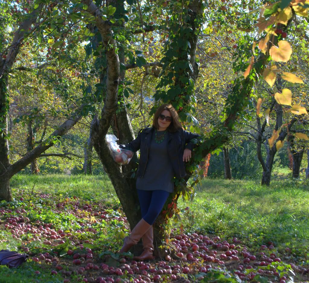 apple picking