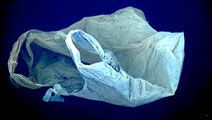 Goa bids to ease ban on plastic bag below 40 microns