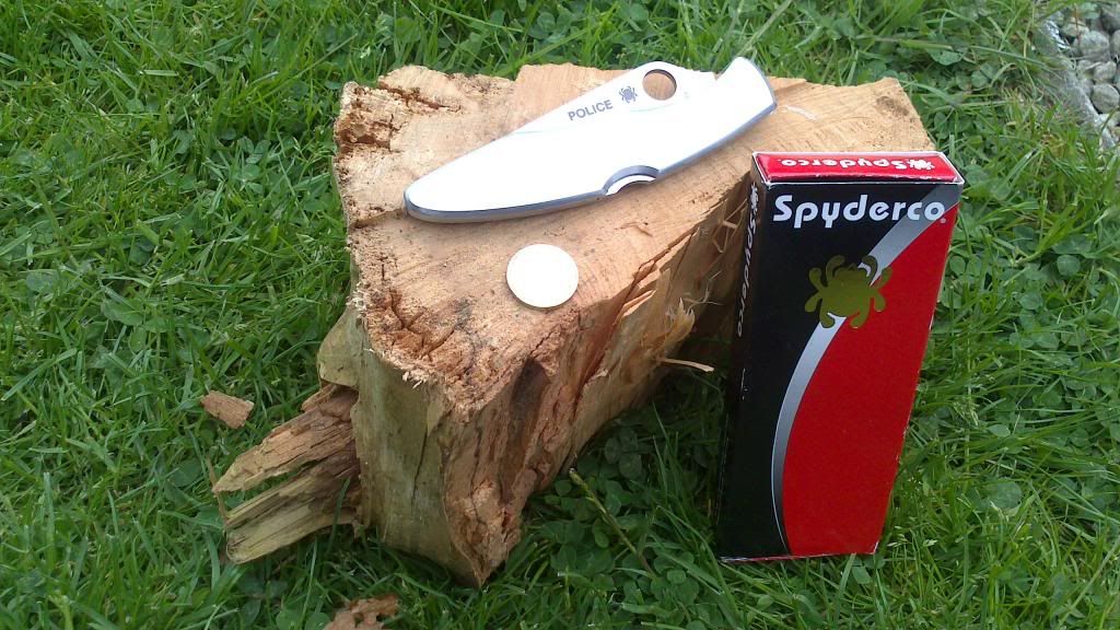 SpydercoPol3.jpg