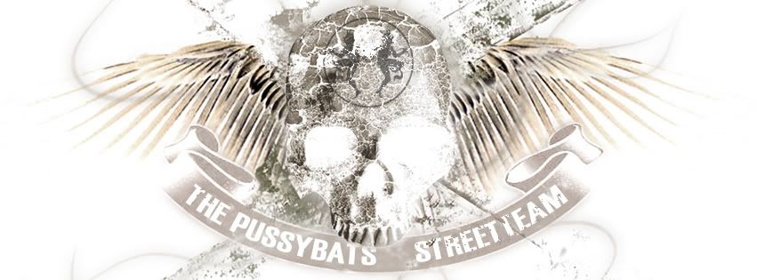 The Pussybats Streetteam