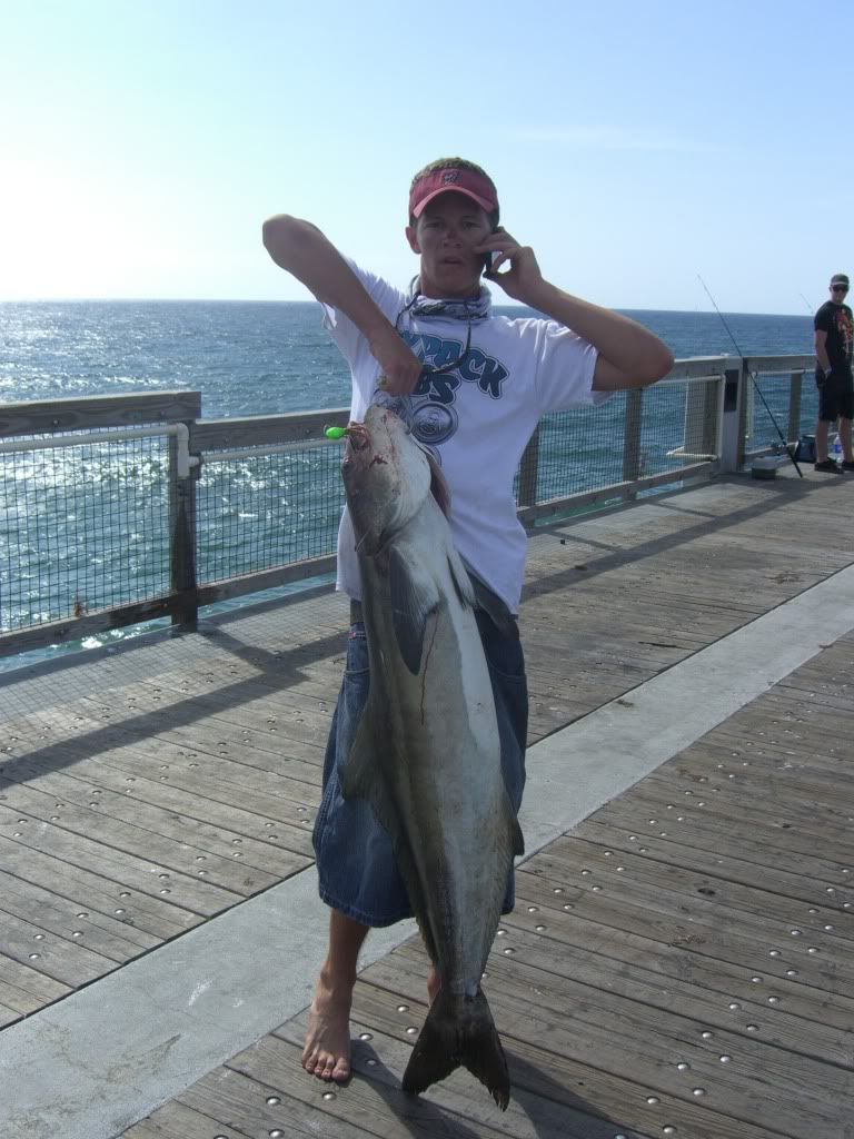 Navarre beach fishing report