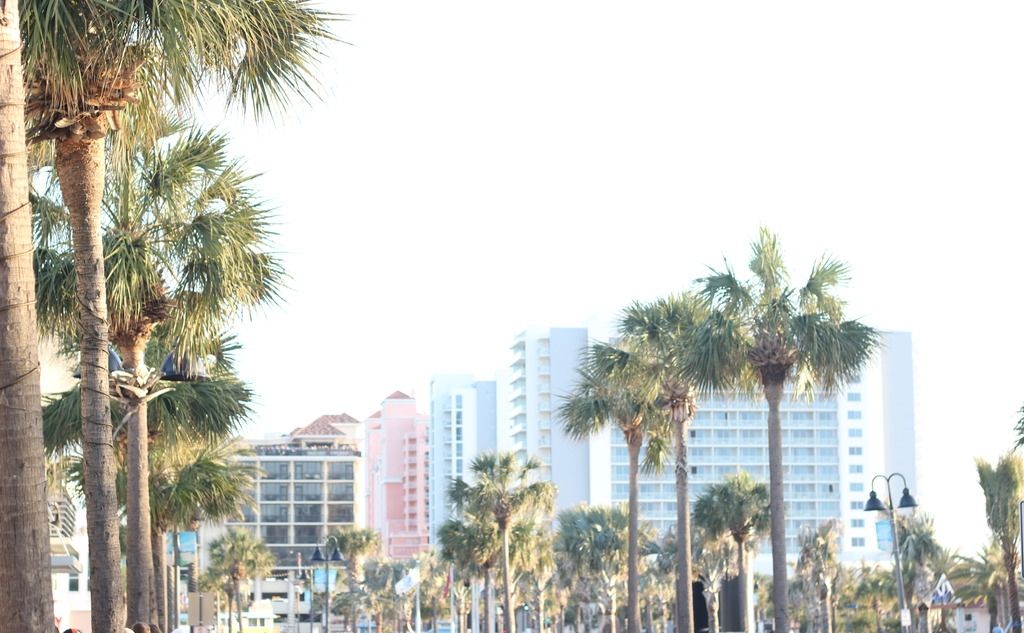 photo Images-Of-Down-Town-Clear-Water.jpg