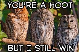 hoot.jpg