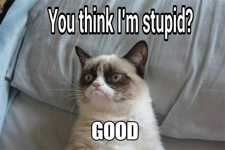 stupid.jpg