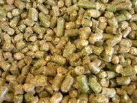 alfalfa-pellets-200w.jpg