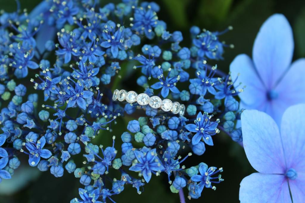 Sparkly eye candy found at thefacetlounge.com!