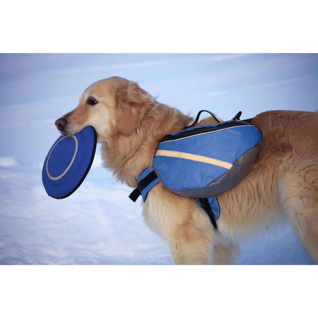 Top yosemite backpacking trips, backpacks for dogs to wear, 5 day