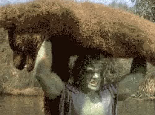 a-incredible-hulk-bear.jpg