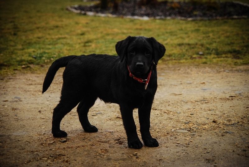 62c26725-d4b5-4de1-b003-0c3dce559979_zps