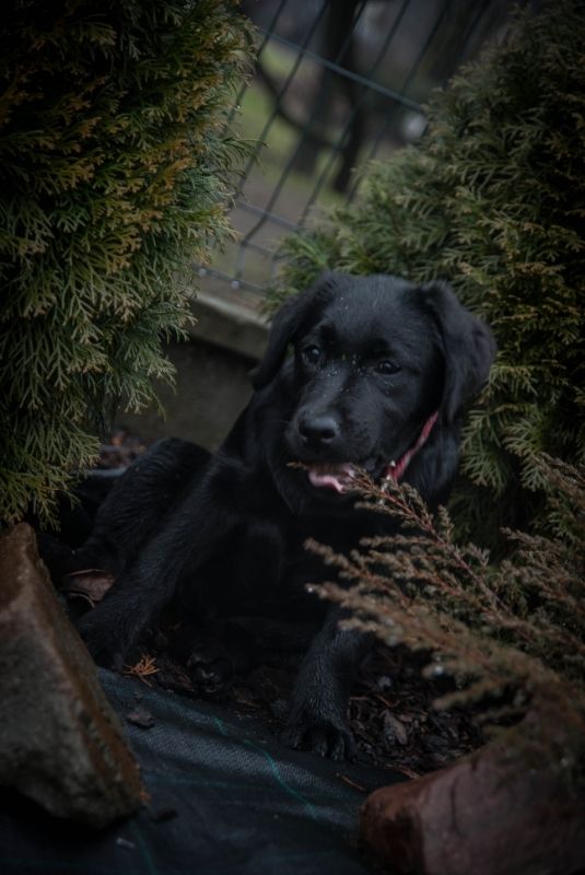 9dfa9620-2445-4362-9fef-4ebbc65ee4ba_zps