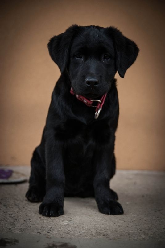 dc138dac-90b4-4671-af34-69701e7aadf8_zps