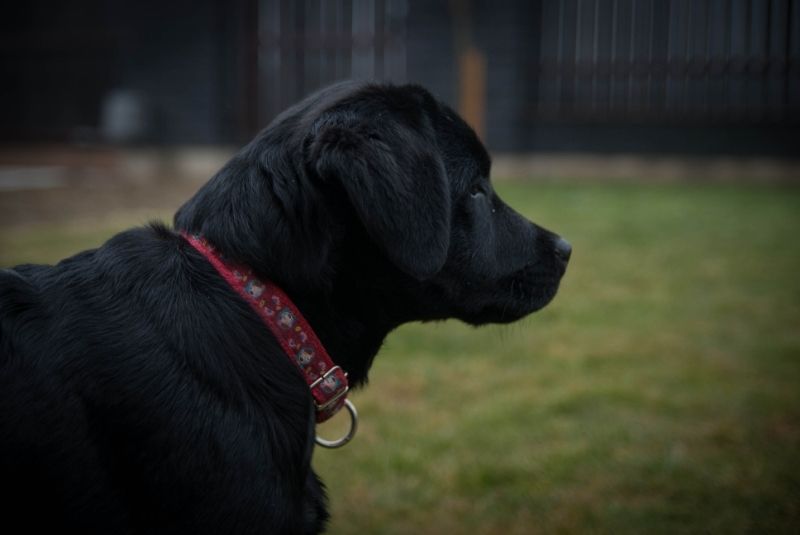 dec281fd-ee50-4b69-8633-7dd8e87b3e3d_zps