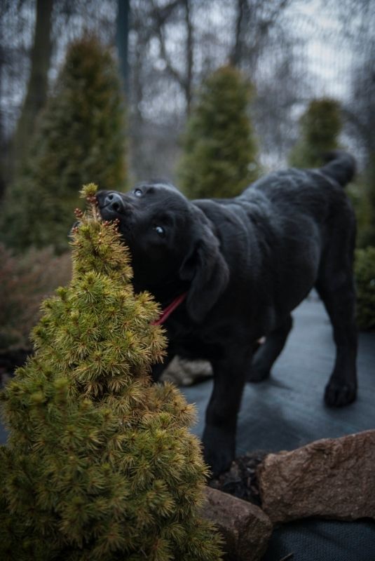 f634783d-6710-494a-a226-386e22058694_zps