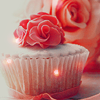cupcake icon Pictures, Images and Photos