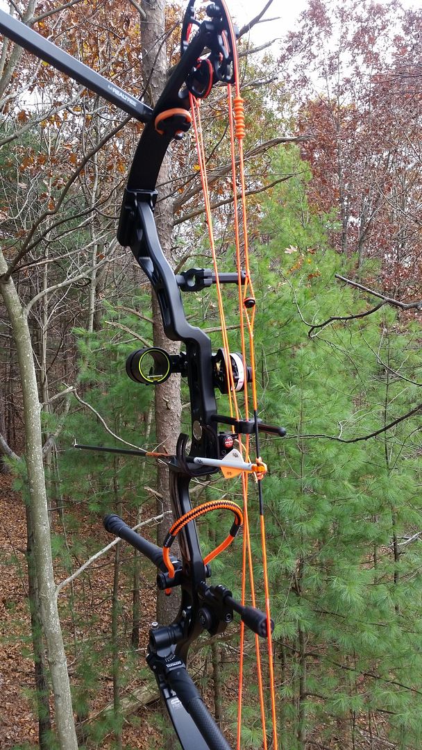 Flo colored bow strings pics Archery Talk Forum