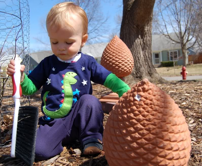 Spring Gardening