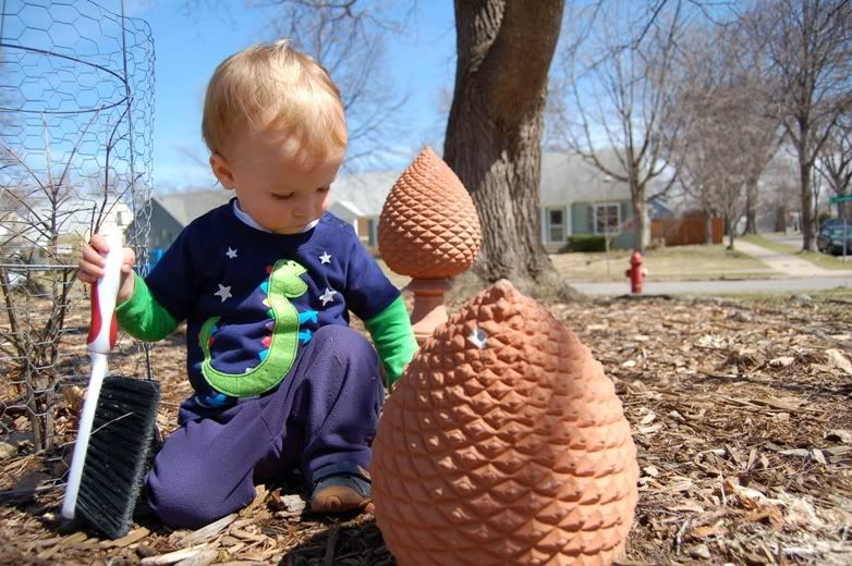 Spring Gardening2