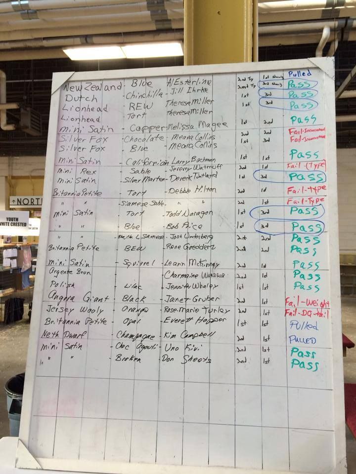new breeds arba convention 2013 lionheads