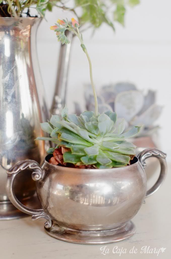 reciclar-juego-café