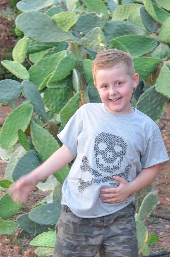 diy camiseta macarra