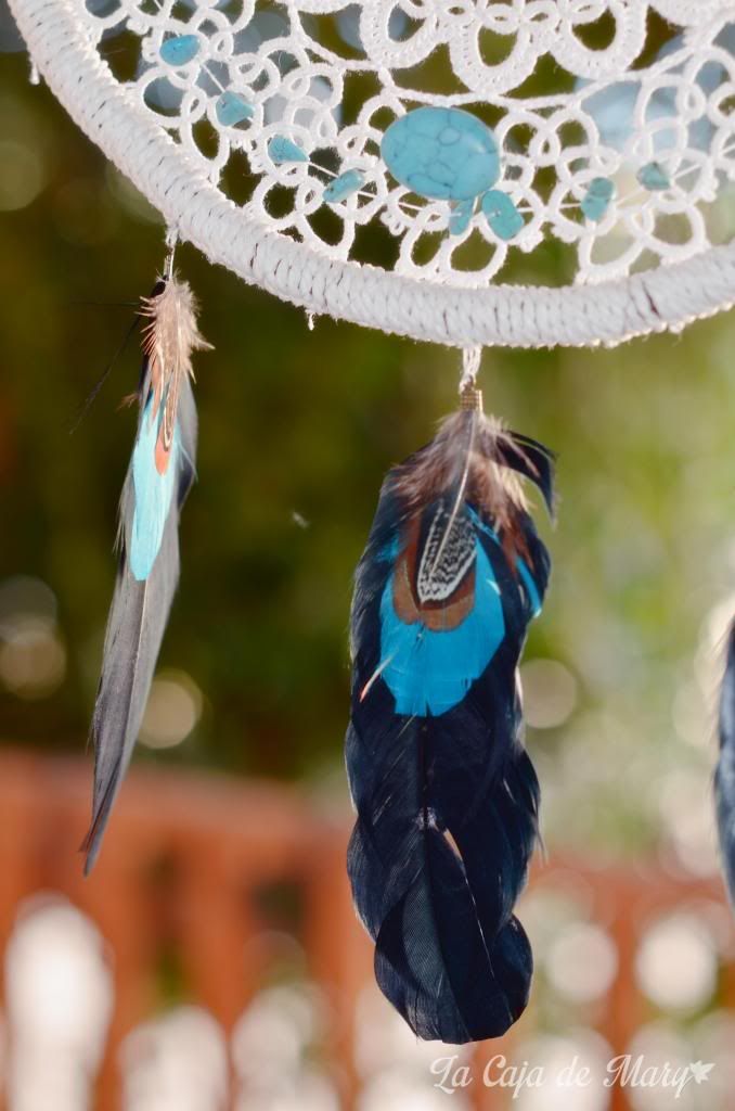  photo DSC_7952_zps911d345e.jpg