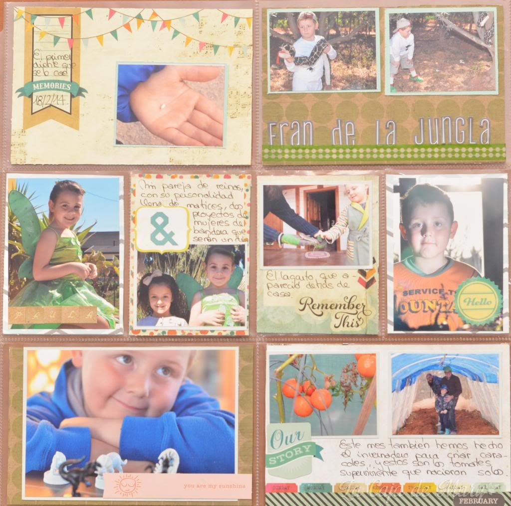 foto DSC_8188-2_zpsa5dff31e.jpg