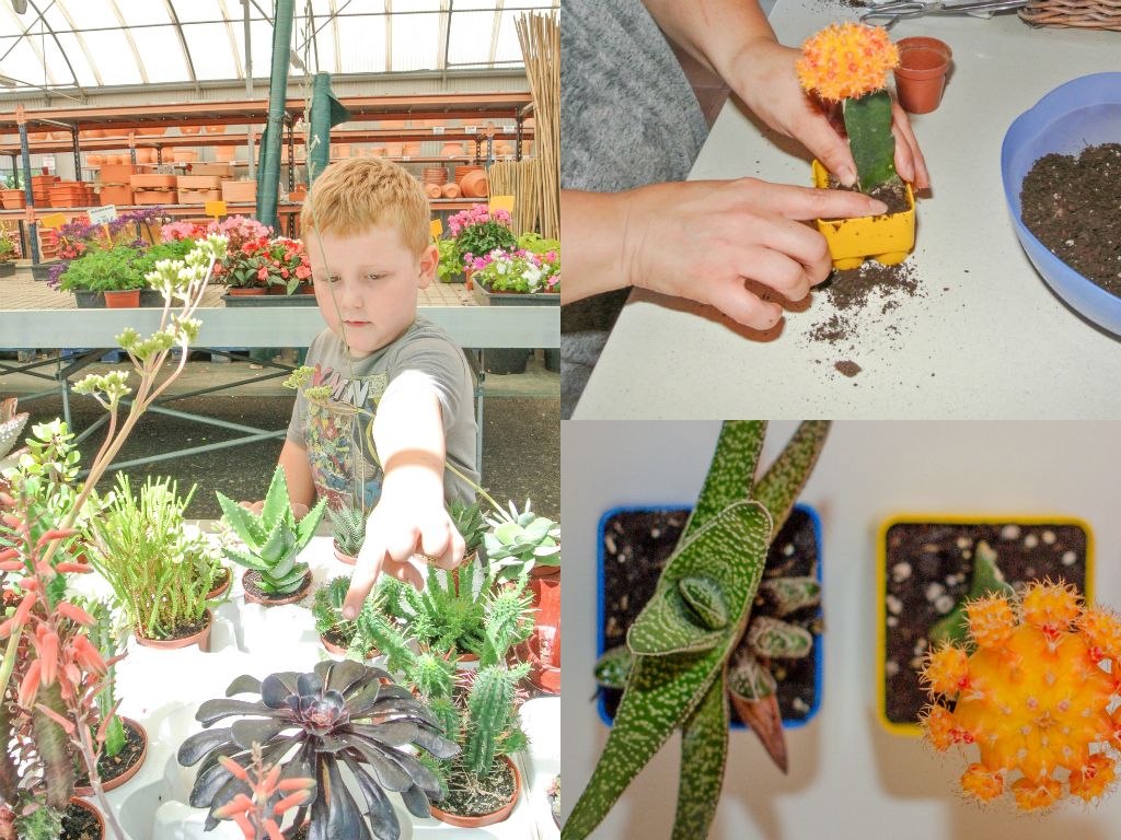 reciclaje-juego-construcción