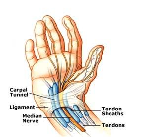 carpal tunnel master reviews