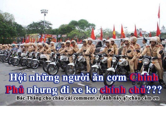 csgt-hoi.jpg