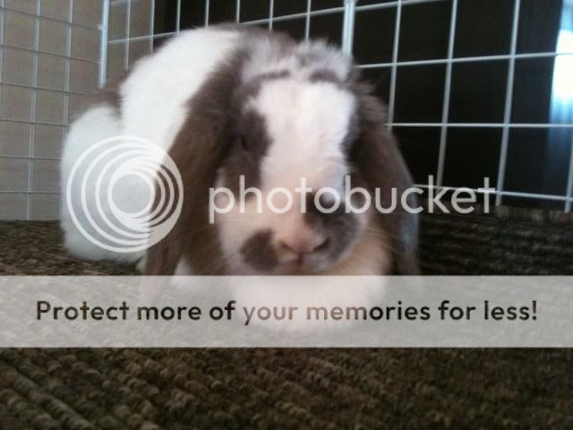 Photobucket