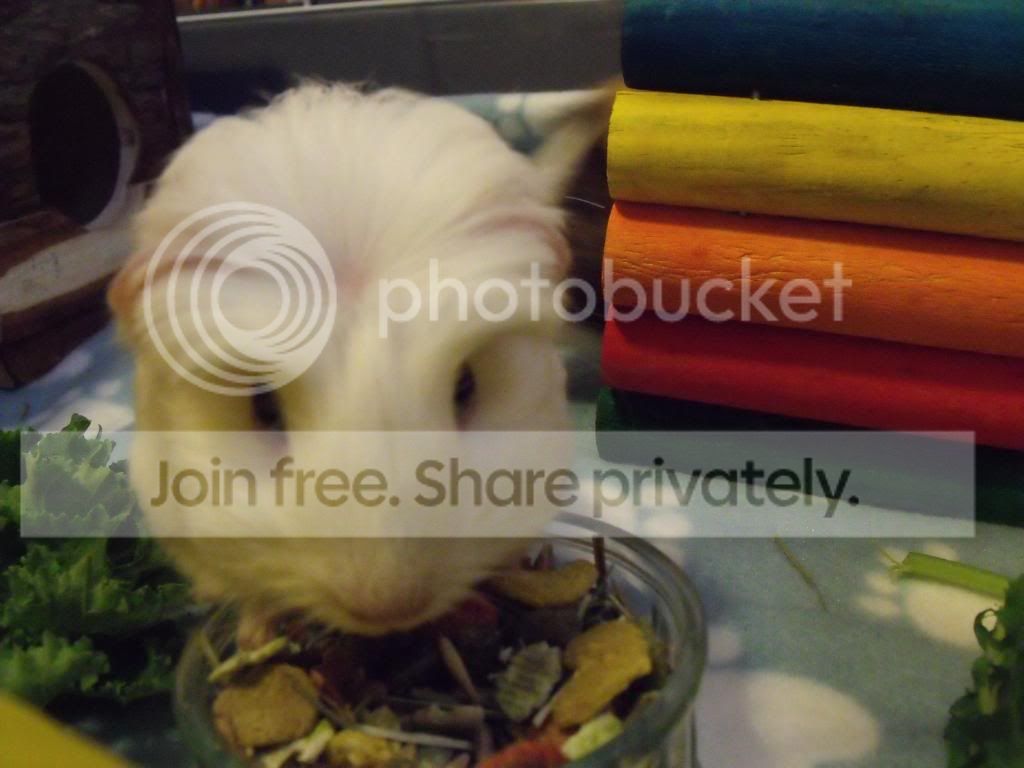 DSCF3308.jpg