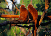 funny-animations-02.gif